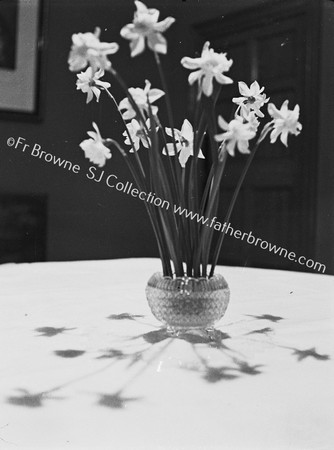 BOWL OF DAFFODILS